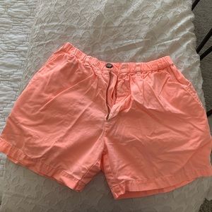 Men’s Chubbies Shorts